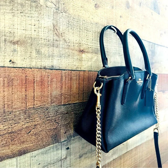 Coach Mini Sage Carryall Crossbody Satchel Bag - Picture 6 of 13